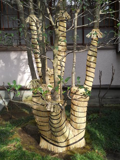 DSCN0352.JPG
