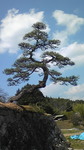 DVC00031.JPG